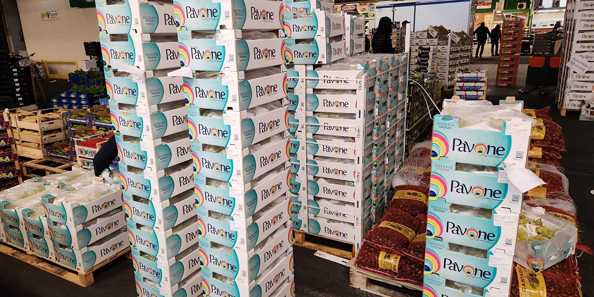 «Clementine e uva senza semi risollevano le vendite»